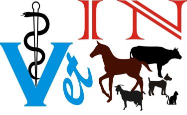 Veterinarska stanica "VET IN"